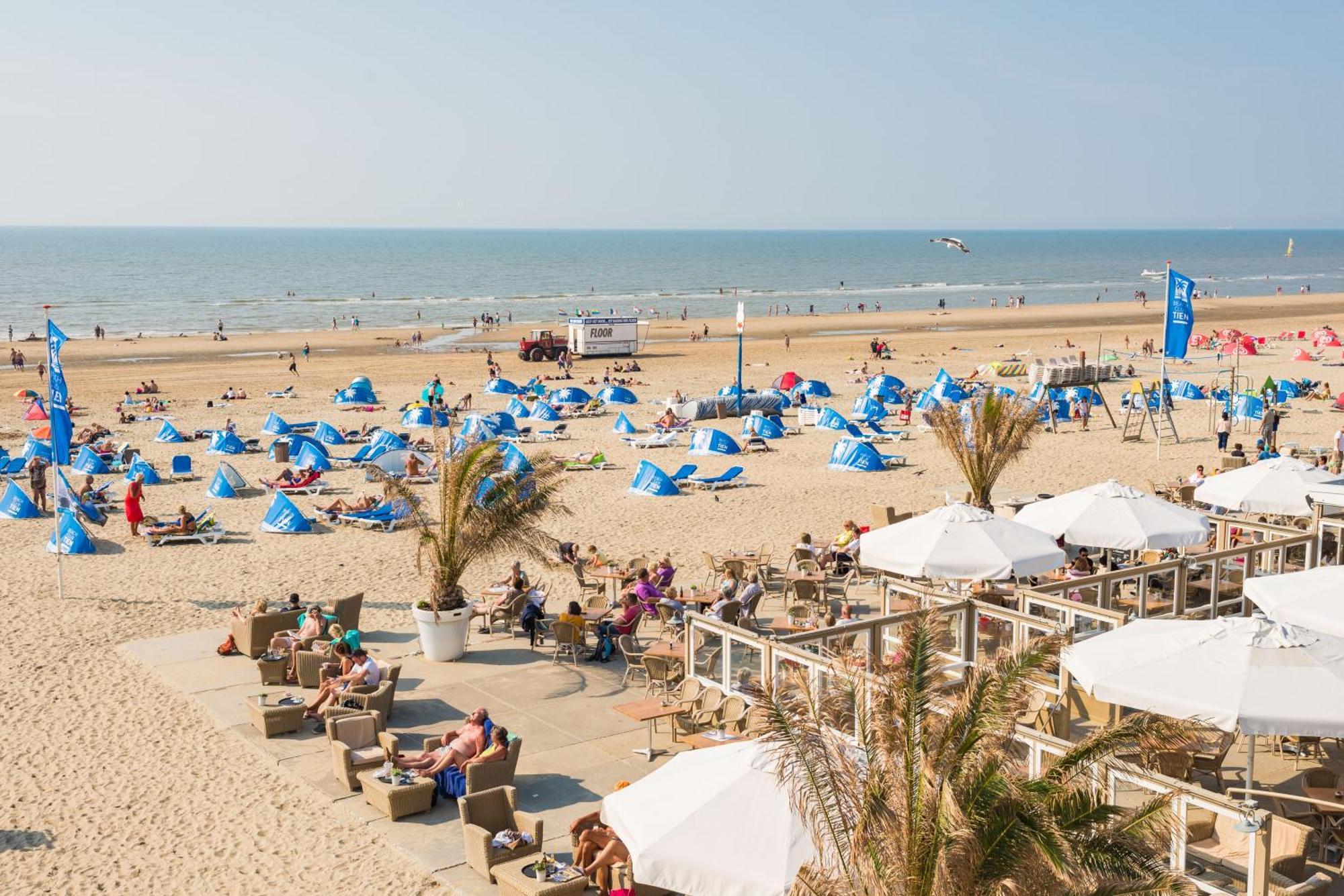 Villa Moyo Kijani Zandvoort Esterno foto
